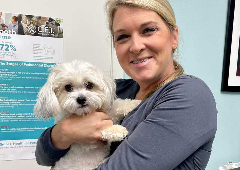 Carousel Slide 4: Meet our veterinary team