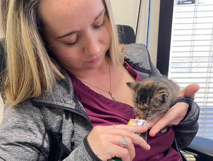 Puppy & Kitten Care